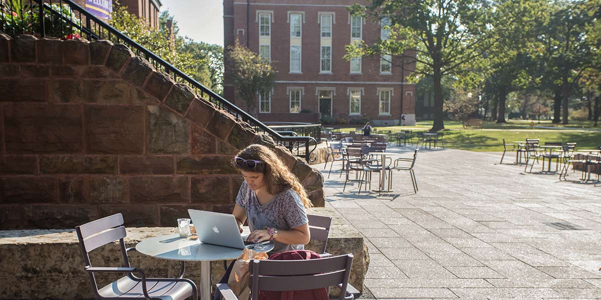 A Knox College student studies on the Plomin Terrance